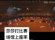 爱游戏APP-纷纷扰扰的比赛场面，赛场喧嚷无尽