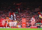 爱游戏在线-沃尔夫斯堡重整旗鼓，欧战资格在望