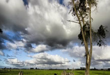 爱游戏大厅-国际米兰客场连败：黑暗中的蓄势待发？