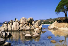 爱游戏娱乐-阿尔艾因多线作战阵容调整，保证体能充沛