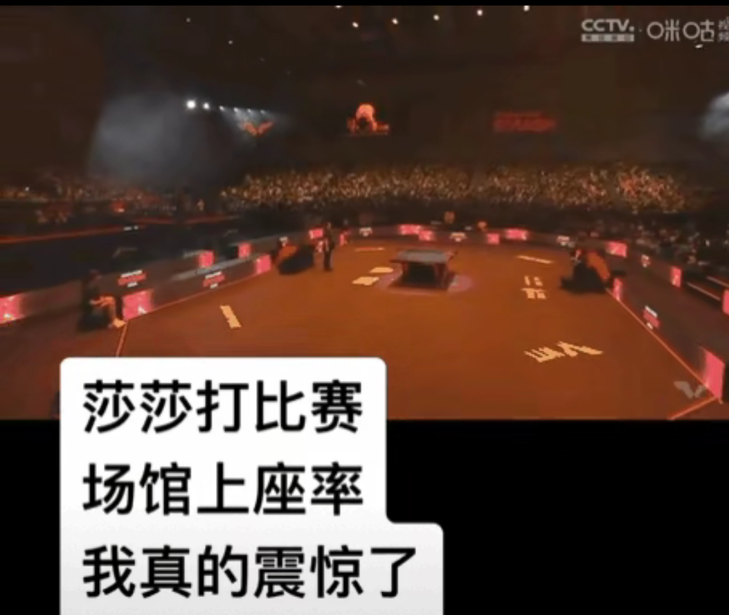 纷纷扰扰的比赛场面，赛场喧嚷无尽