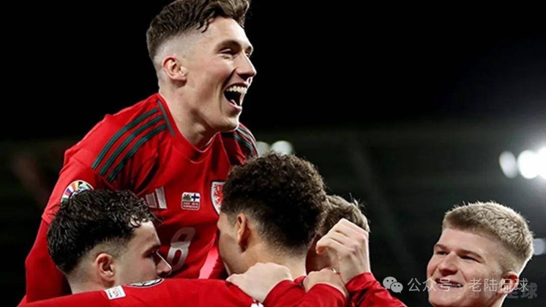 波兰VS奥地利：欧洲杯预选赛绝杀之局的简单介绍